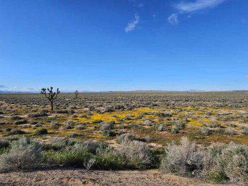 LOCATED IN BOOMING CALIFORNIA CITY, THIS ATTRACTIVE LOT IS A FANTASTIC INVESTMENT OPPORTUNITY AT JUST $199 PER MONTH!
