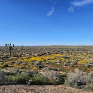 DONT MISS OUT!! CENTRALLY LOCATED LOT IN SOUTHERN CALIFORNIA?! ONLY $289 PER MONTH!