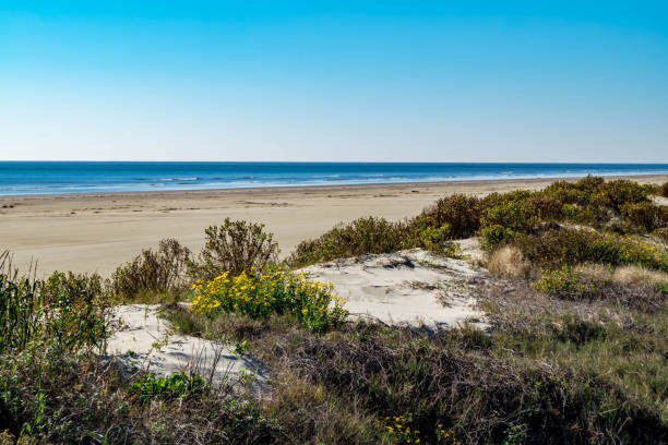 BREATHTAKING OCEANVIEW LOT IN MAGNOLIA BEACH, CALHOUN COUNTY, TEXAS, JUST $12,775/ $249 A MONTH. FINISHING, CAMPING, RVS. INVEST IN YOUR FUTURE! NO CREDIT CHECKS!
