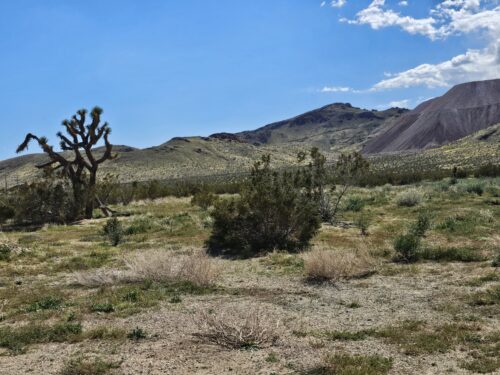 LOCATED IN BOOMING CALIFORNIA CITY, THIS ATTRACTIVE LOT IS A FANTASTIC INVESTMENT OPPORTUNITY AT JUST $3,995/ $149 PER MONTH! 50% OFF!