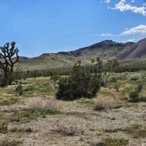 RARE FIND: LARGE 2.5-ACRE PARCEL IN CALIFORNIA CITY, SOUTHERN CALIFORNIA LOCATED IN A GROWING AREA FOR JUST $289 PER MONTH.