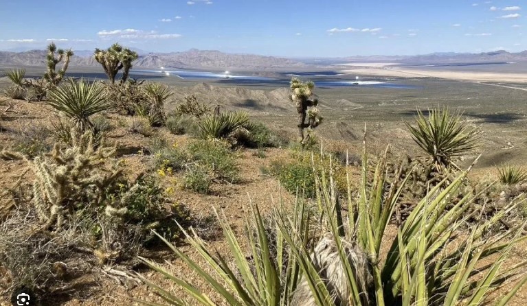 HIDDEN GEM AWAITS IN GOLDTOWN, SOUTHERN CALIFORNIA. 2 LOTS BUNDLED INTO ONE LARGE PROPERTY. AVAILABLE FOR JUST $289 PER MONTH!