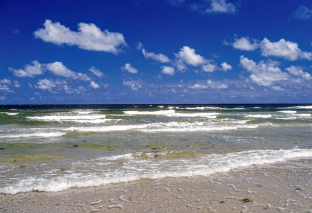 BREATHTAKING OCEAN-VIEW LOT IN MAGNOLIA BEACH, CALHOUN COUNTY, TEXAS!! Unbeatable price of $8,900, with easy monthly payments of $279
